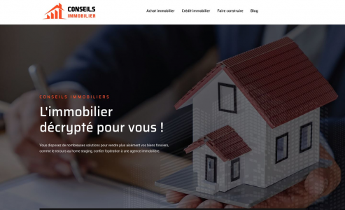 https://www.conseilsimmobilier.net